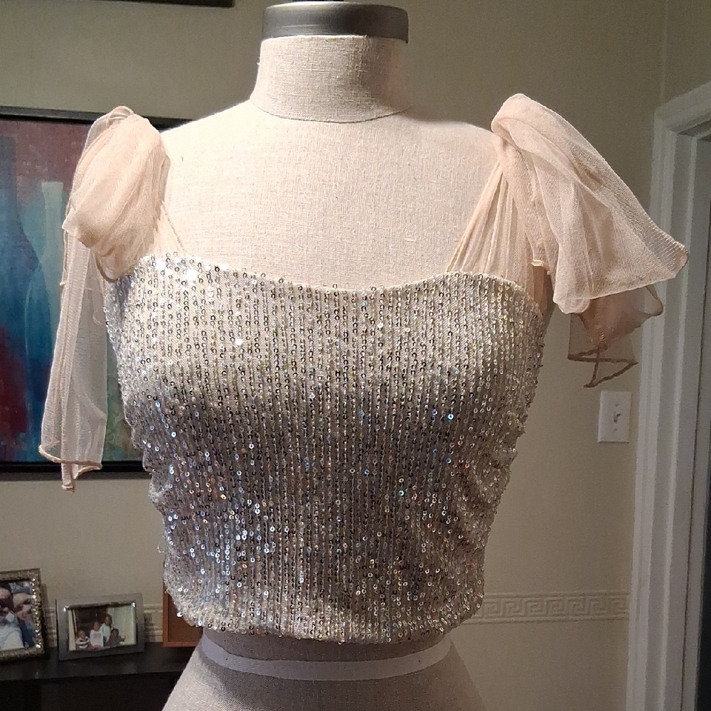Altar'd State Sequin Blouse with Sheer Sleeves